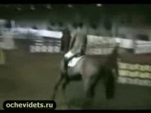 Лошадь скинула жокея.