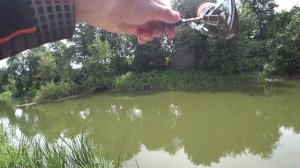 МИКРОДЖИГ, ловля окуня ЛЕТОМ на реке