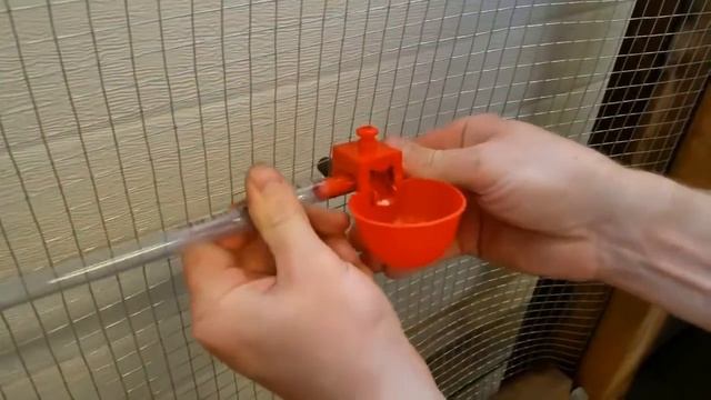 Автоматическая поилка для кур перепелов птиц смотреть онлайн