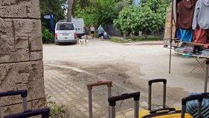 ОБЗОР РЫНКА ПО ПОНЕДЕЛЬНИКАМ!!! Бельдиби, Кемер.
