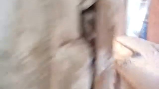 Демонтаж деревянных перегородок смотреть онлайн