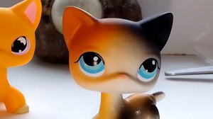 LPS: распаковка посылки с петами вместе с подругой