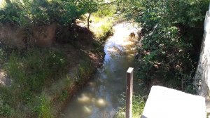 Крым, Судак, река Суук-Су 2 июня 2017 г