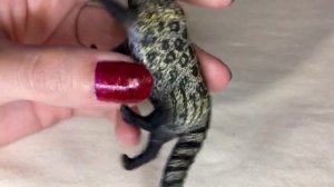 3. Обзор фигурки Collecta африканская циветта (2018, арт. 88824b)