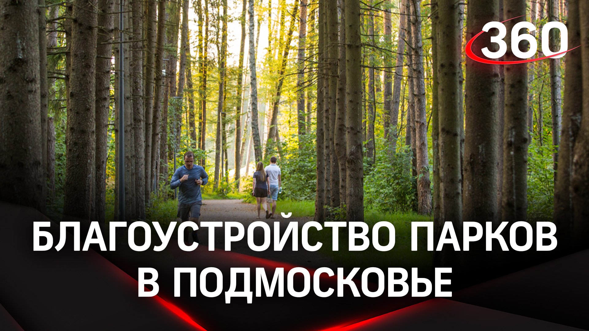 Комфортные и безопасные лесопарки: сезон благоустройства начался в Подмосковье