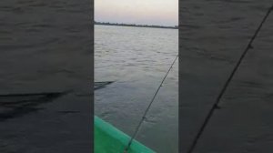 16 августа 2022 г.