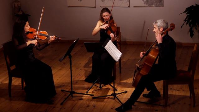 Trio Ingres Les variations Goldberg Johann Sebastian Bach смотреть онлайн