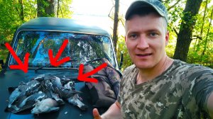 Охота на ВЯХИРЯ. им здесь медом намазано