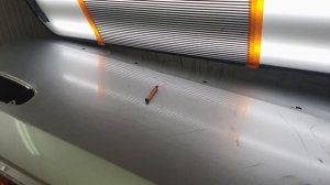 HOT SPOT насадки