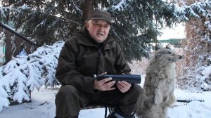 охота на волка на вабу с Даулетом Джакипоаым