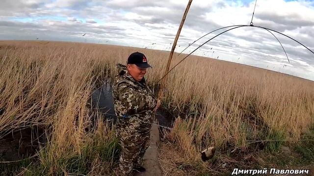 ТРУБА ЗОВЁТ!!! Рыбалка на паук в карасёвом болоте!!!