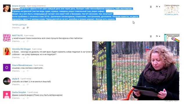 Стерилизация собак, укрепить здоровье, аллергия кота. ВетОтвет 10-1