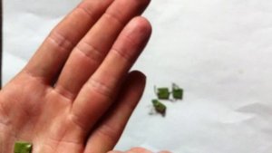 Определение маркировки конденсаторов КМ 3, 4, 5 и 6