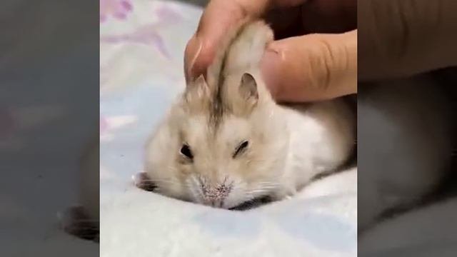 всем здорово
