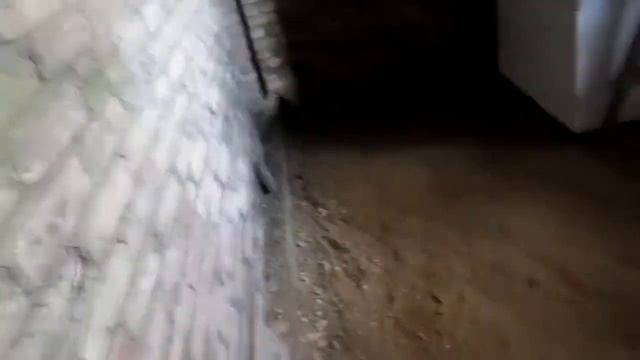 Звукоизоляция второго этажа смотреть онлайн