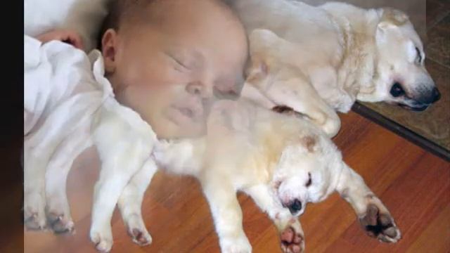 Колыбельная - Сон приходит за порог.wmv смотреть онлайн