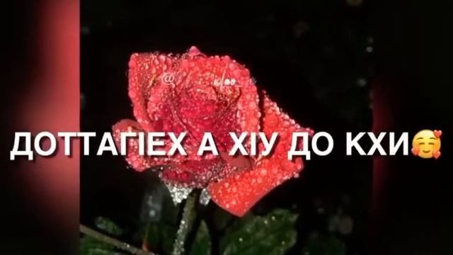 Са йиша са ХЬОМЕ адам смотреть онлайн