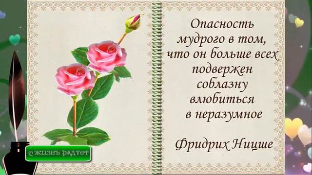 Цитаты про любовь ✧ Красивые цитаты и афоризмы ✧ Короткие красивые цитаты со смыслом