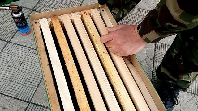 Ловля роев. Подготовка ловушек. (Часть 1) смотреть онлайн