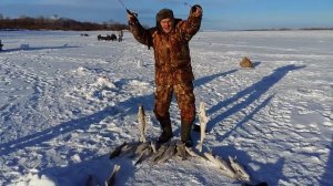 Зимняя рыбалка в Камских Полянах.