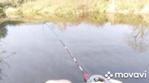 Микроречка, микроДжиг, микроокунь и Cuyng Teton TTC522UL.