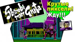 Пиксельная игра про самурая ниндзю shinobi non grata