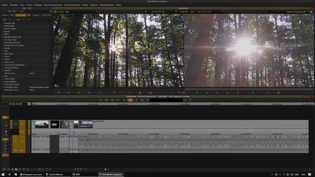 Avid Media Composer - если тормозит Timeline смотреть онлайн