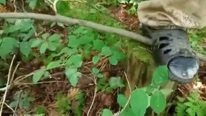 Пила Джильи (Джигли) медицинская, хирургическая для выживальщика