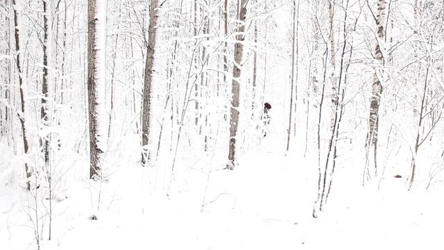 Лена отрезок поздравления смотреть онлайн