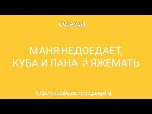 Маня недоедает (Аудио)