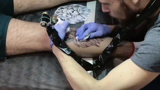 TATTOO TIME LAPSE/ тату ЛЕВ на ИКРЕ