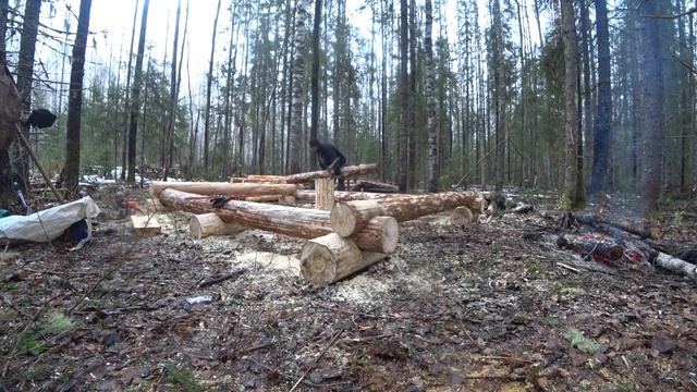 Строим избушку в дикой тайге! #2 Догнал тепловоз. Обзор будки-теплушки. смотреть онлайн