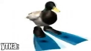 Паба пабаба пуба - ВСЕ ВЕРСИИ