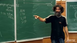 Окштейн МФТИ Лекция 3. Транскрипция, трансляция.