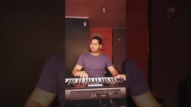 Roman Sléz Korg PA300 JAZZ GUITAR смотреть онлайн