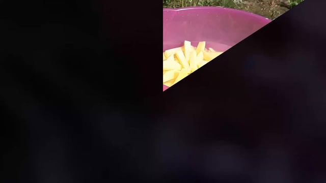 Дачные Хроники 1