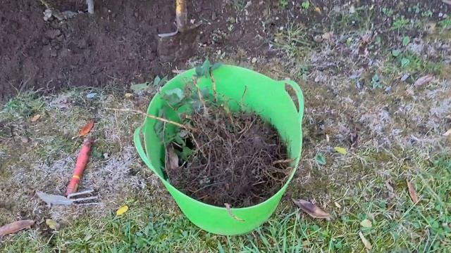 71. Сборная солянка. Живу и вышиваю 02.11.20-08.11.20 смотреть онлайн