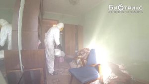 Блохи:Обработка Большого Дома.Уничтожение Блох Горячим Туманов.Средства от Блох!