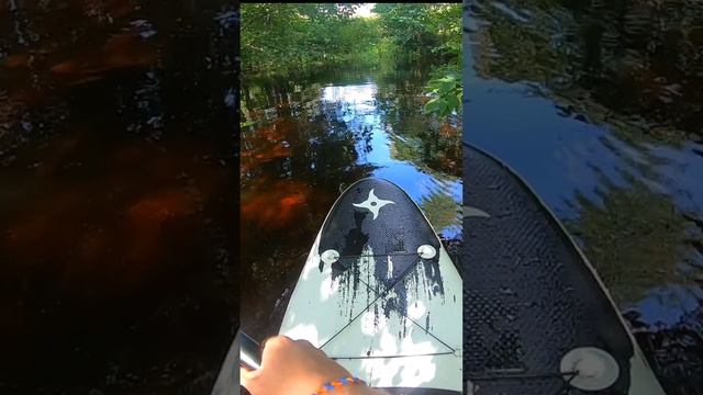 Катание на сап борде смотреть онлайн