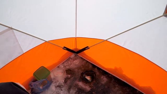 БО Софьино. 09.12.20. смотреть онлайн