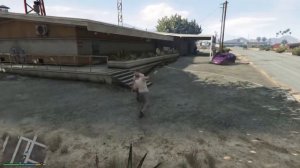 Майкл VS Тревор GTA5