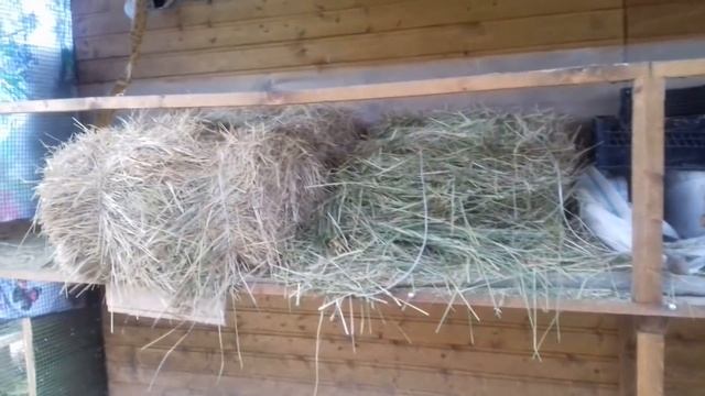 Подворье, домашнее хозяйство - все на 1 сотке курятники и крольчатники смотреть онлайн