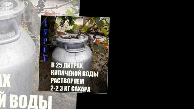 КВАС ИЗ ЛИСТЬЕВ ВИНОГРАДА смотреть онлайн