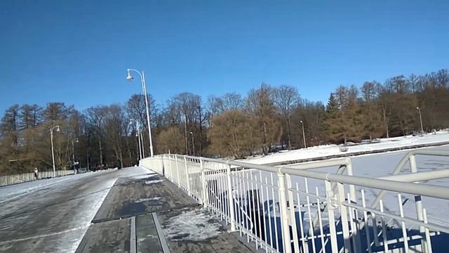 Диво Остров в будни зимой/Заснеженный Елагин/Селезень во всей красе