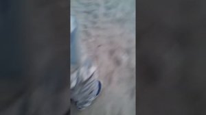 Девочка 3 года ругается матом