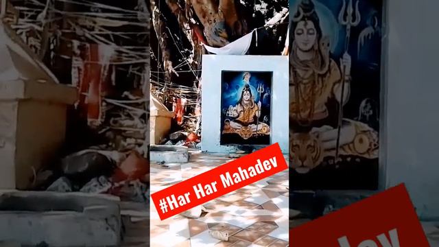 ##Om Navas shivay #Om Navas shivay #Har har #Bole Navas shivay👏👏👏👏👏 #video #viral👏 #trending