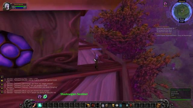 Relics of the Kaldorei  - WOW Quest | SOD World of Warcraft Classic  (Fury of Stormrage Rune)