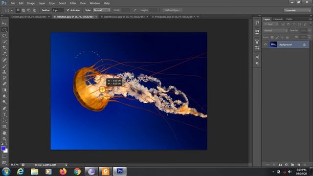 Work of #Eliptical #Marquee Tool in Adobe #photoshop Using #Shift and Alt Key смотреть онлайн