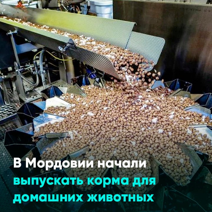 В Мордовии начали выпускать корма для домашних животных