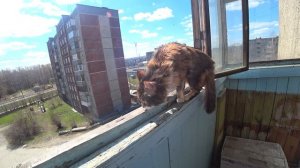 У МЕНЯ ВЫХОДНОЙ ГРЕЮСЬ НА БАЛКОНЕ ЖИЗНЬ VLOG#154